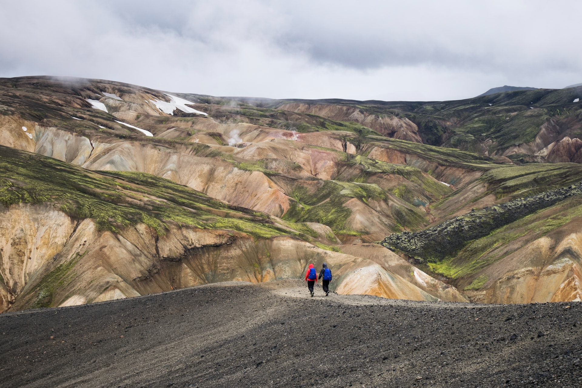 Avdelingen for geologi