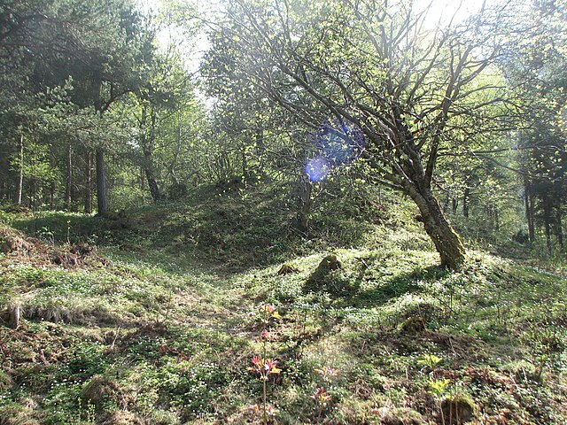 Bildet viser gravfeltet på Løkja som er fra jernalderen. Bilde: Jarle Stavik / Wikimedia Commons, lisens: CC-BY-SA-3.0