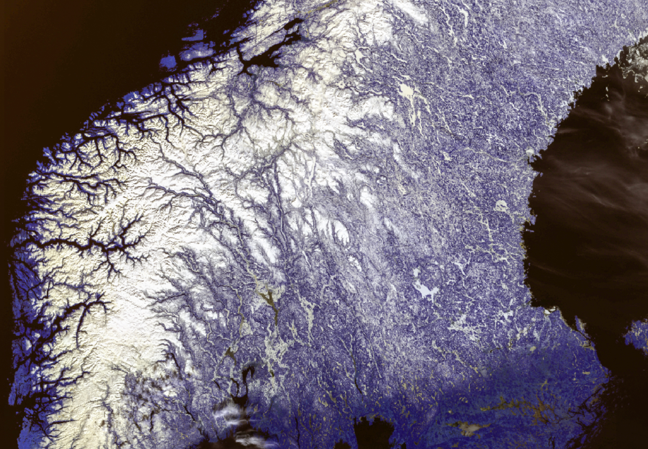 Dette er et satellitbilde av midt-Norge og deler av Sverige. Bildet viser snødekke, som er i hvitt. Resten av bildet er ulike nyanser av lilla (landmasse) og sort (vann).