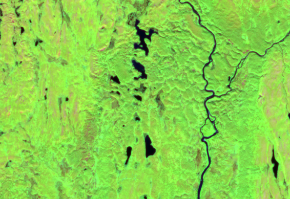 Sammensatt, skyfri mosaikk fra Sentinel-2 (2016–2024) over Roancejávri. Bildene er kombinert til ett helhetlig bilde uten synlige skjøter, og vegetasjonen er tydelig i hele området.