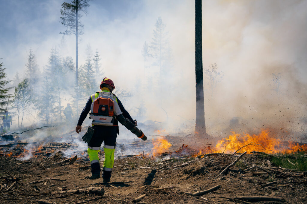 En brannkonstabel slukker en skogbrann. Personen står med ryggen til og bærer et slokkeapparat på ryggen med slange. Det brenner i vegetasjonen på bakken, og røyk stiger opp.