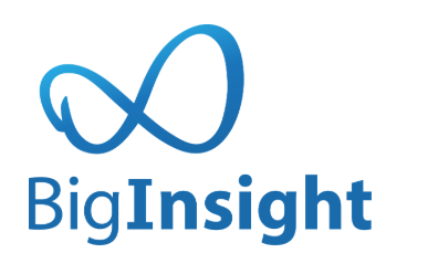 Blue BigInsight logo against a white background