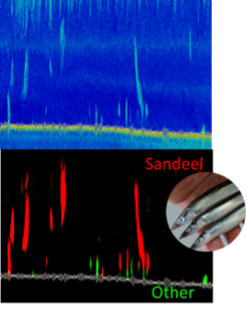 The image shows how our method detects and characterises sandeel. The image is split in two; the lower section highlights detected sandeel in red against a black background