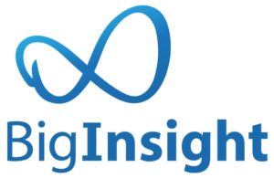 BigInsight logo. White background and blue font and graphics..