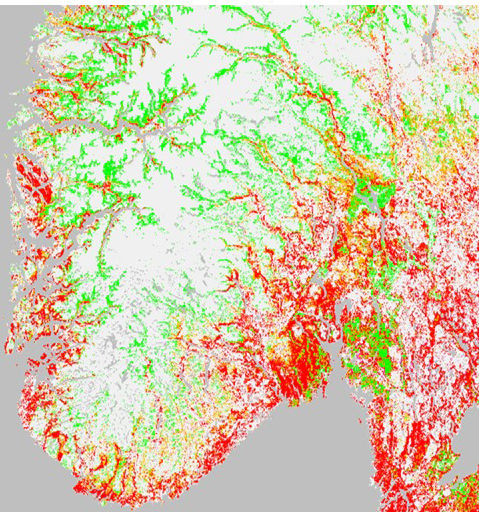 The image displays an image of the southern regions Norway. Areas are colour-marked in green, red and white depending on prevalence of birch pollen in the area. 