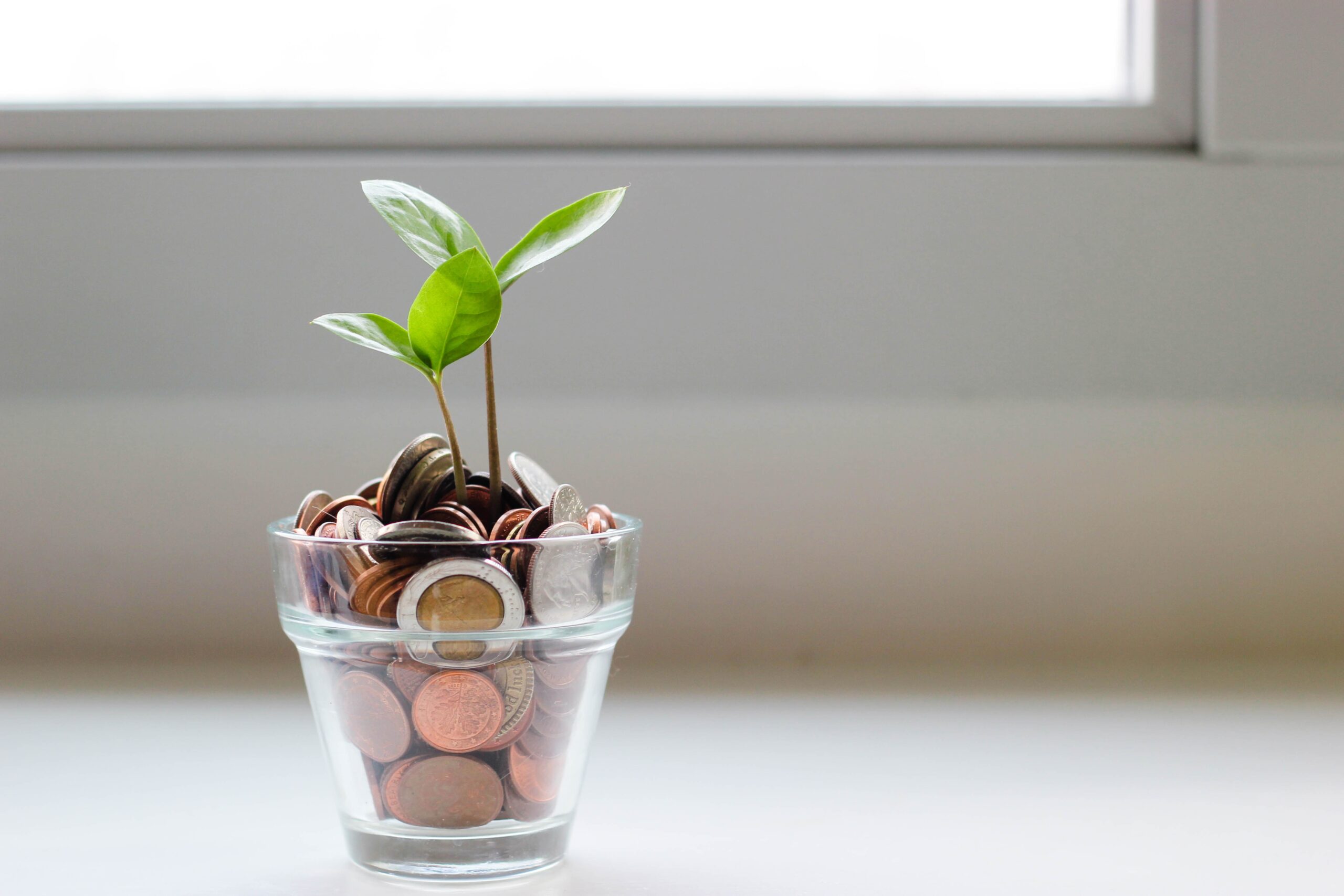 A green plant in a clear glass cup filled with coins.