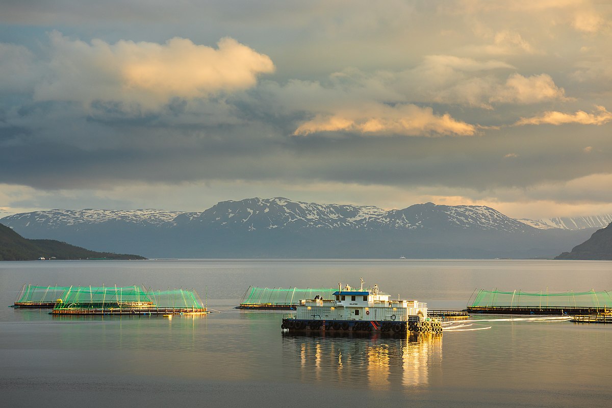 The image shows a fish farm in Northern Norway and a boat passing by. In the background a mountainous coastline is visible.