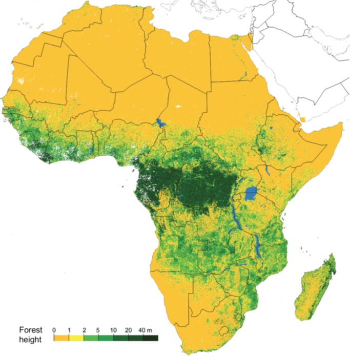 The figure shows an illustration of the entire African continent with areas marked in yellow and shades of green depending on vegetation in the region.