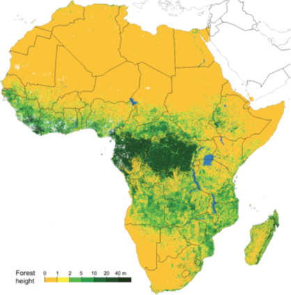 The illustration shows the entire African continent. Vegetation heights are shown using different colours, in desert areas it is yellow, whereas areas with more foliage are in various shades of green depending on vegetation height.