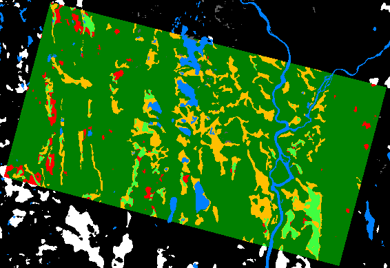 Mapping results based on a snow- and cloud-affected mosaic from 2020. Peatland areas covered by snow are omitted.